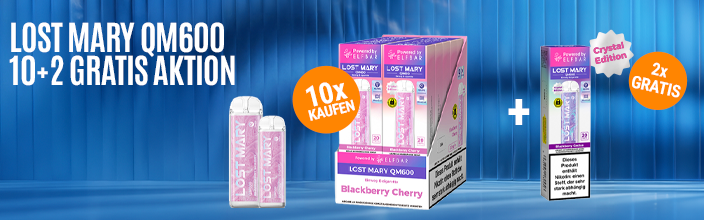 LOSTMARY QM600 10+1