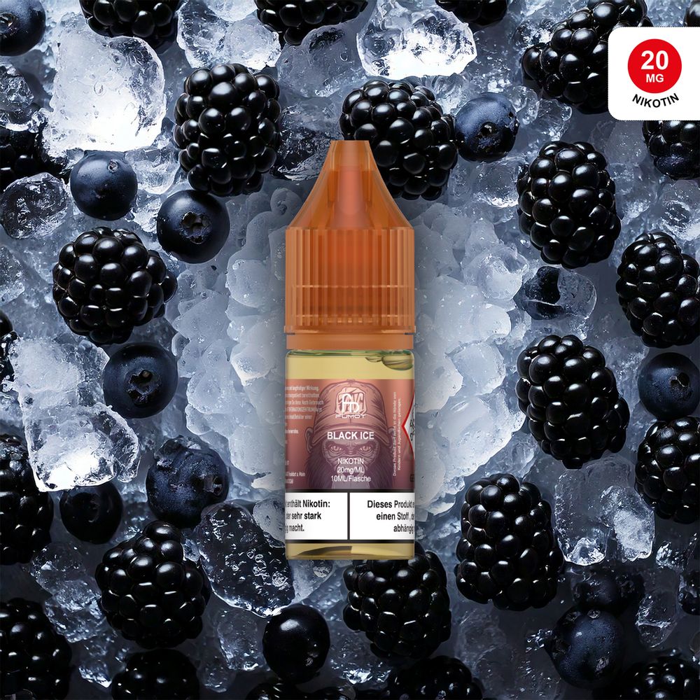 10x RandM Liquid - Black Ice - 10ml