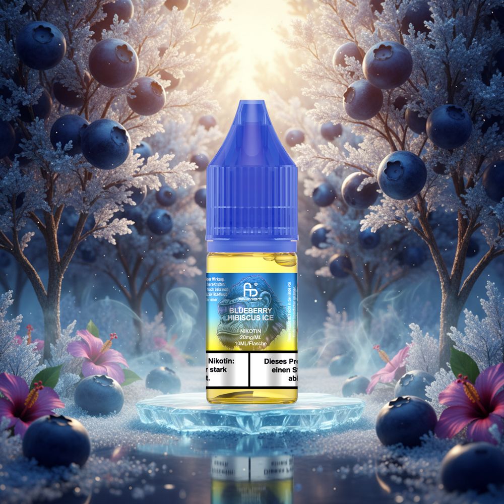 10x RandM Liquid - Blueberry Hibiscus - 10ml