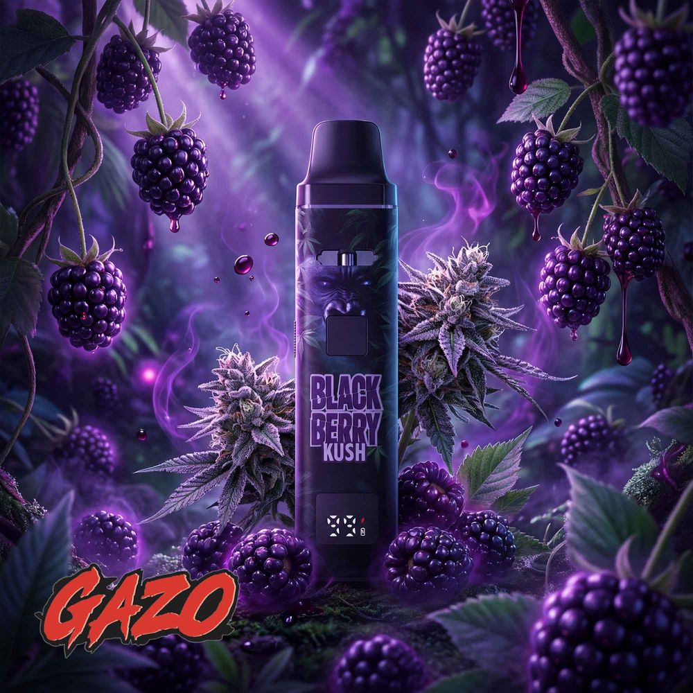 10x Gazo Pro - H3BTA - Blackberry Kush (1ml) - by Gzuz