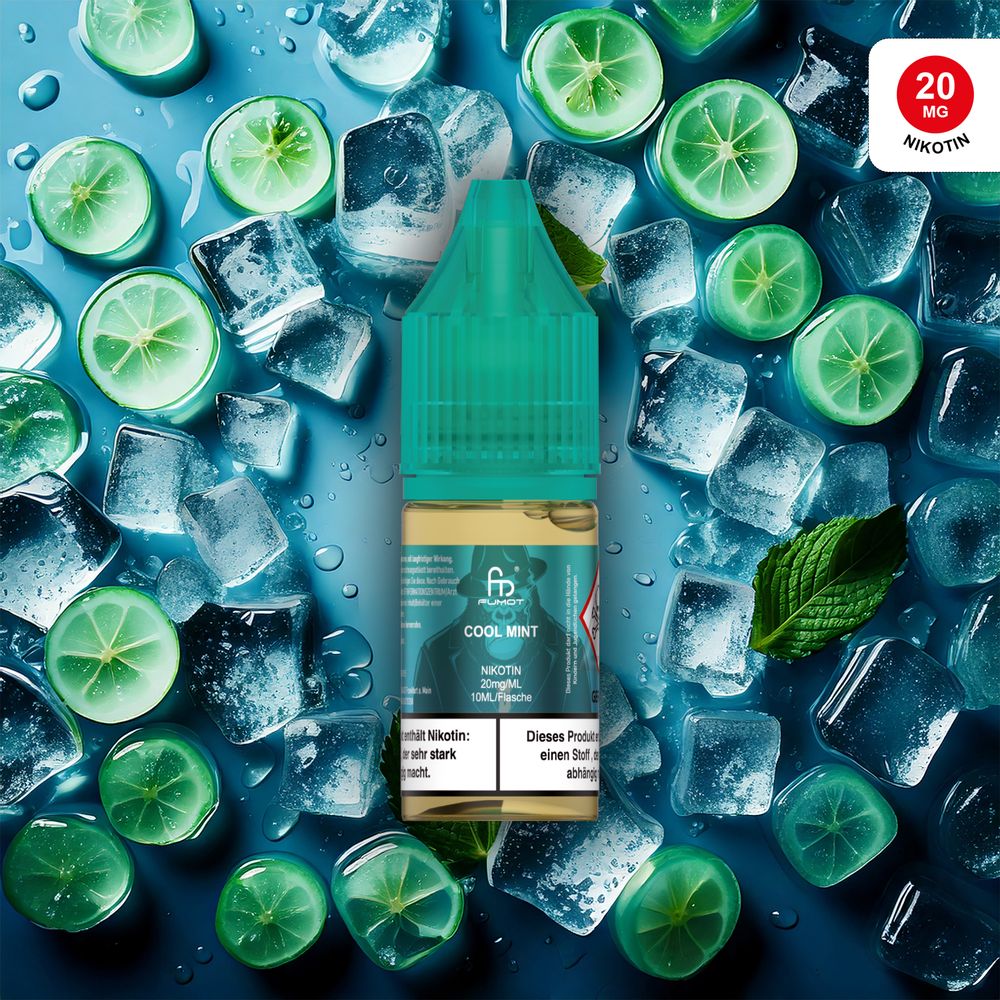 10x RandM Liquid - Cool Mint - 10ml