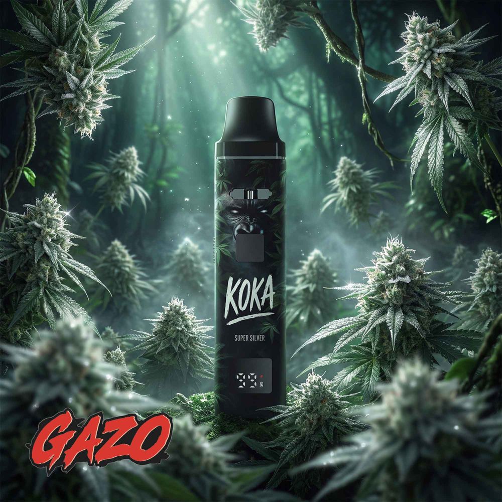 10x Gazo Pro - H3BTA - Koka (1ml) - by Gzuz