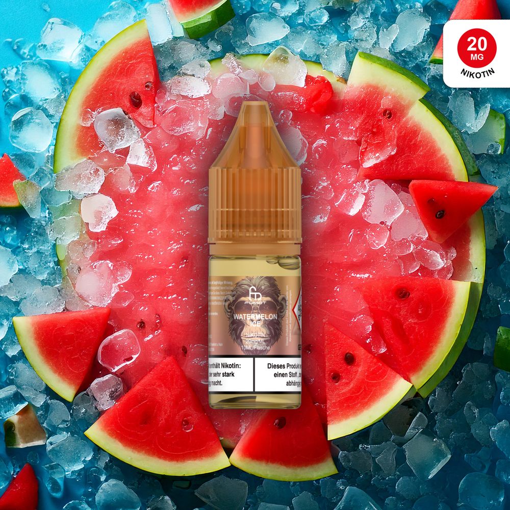10x RandM Liquid - Watermelon Ice - 10ml